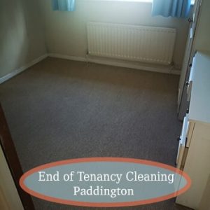 carpet clean paddington