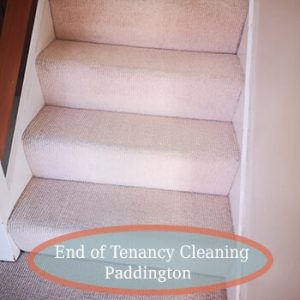 carpet cleaning paddington