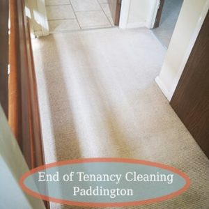 carpet cleaning services paddington