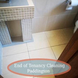 deep cleaning paddington